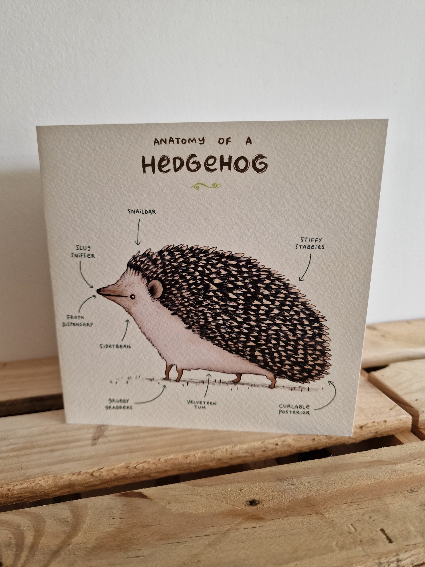 Cards - Various designs