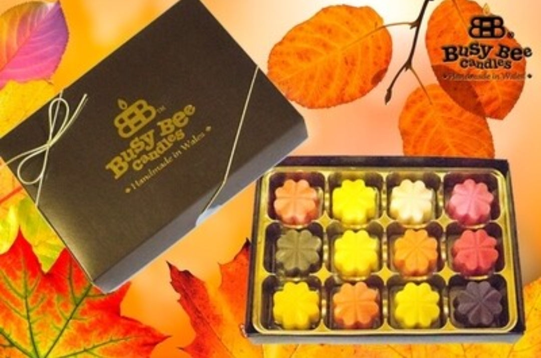 Wax Melt Selection Box