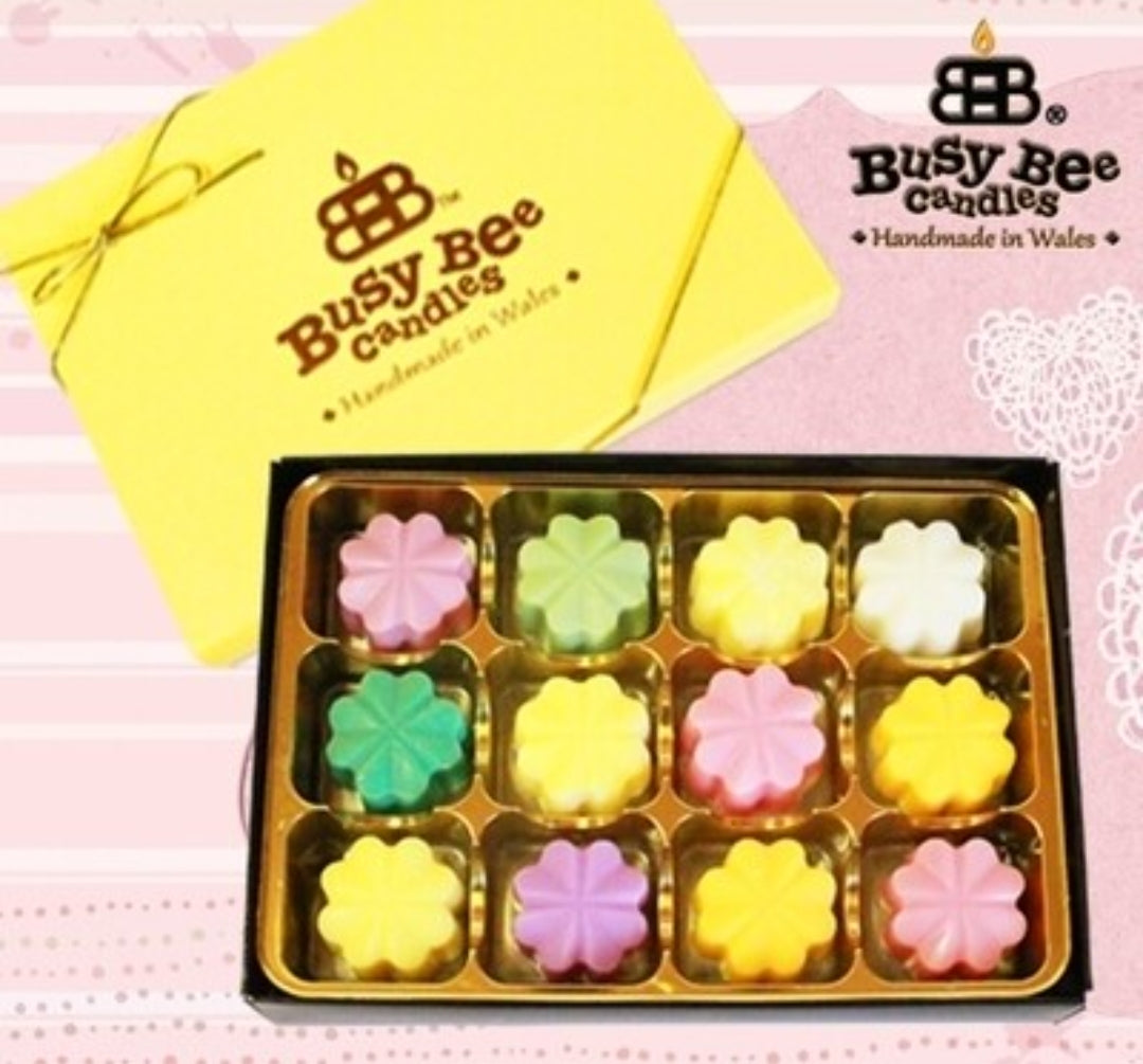 Wax Melt Selection Box