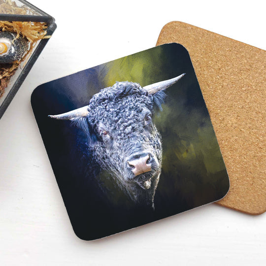Coasters - Various Designs