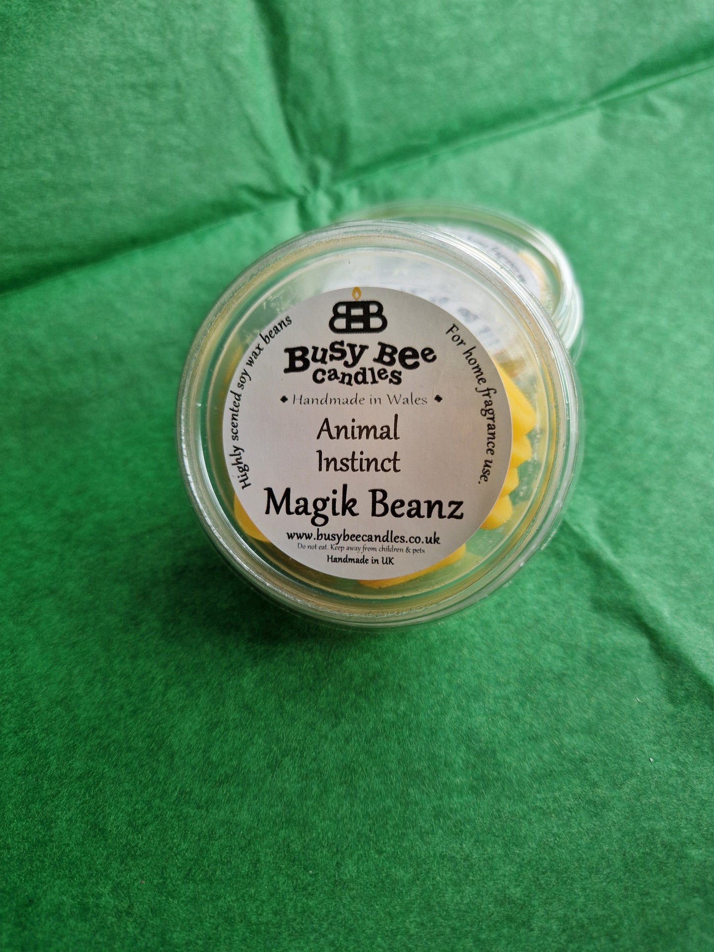 Magik Beanz Wax Melts